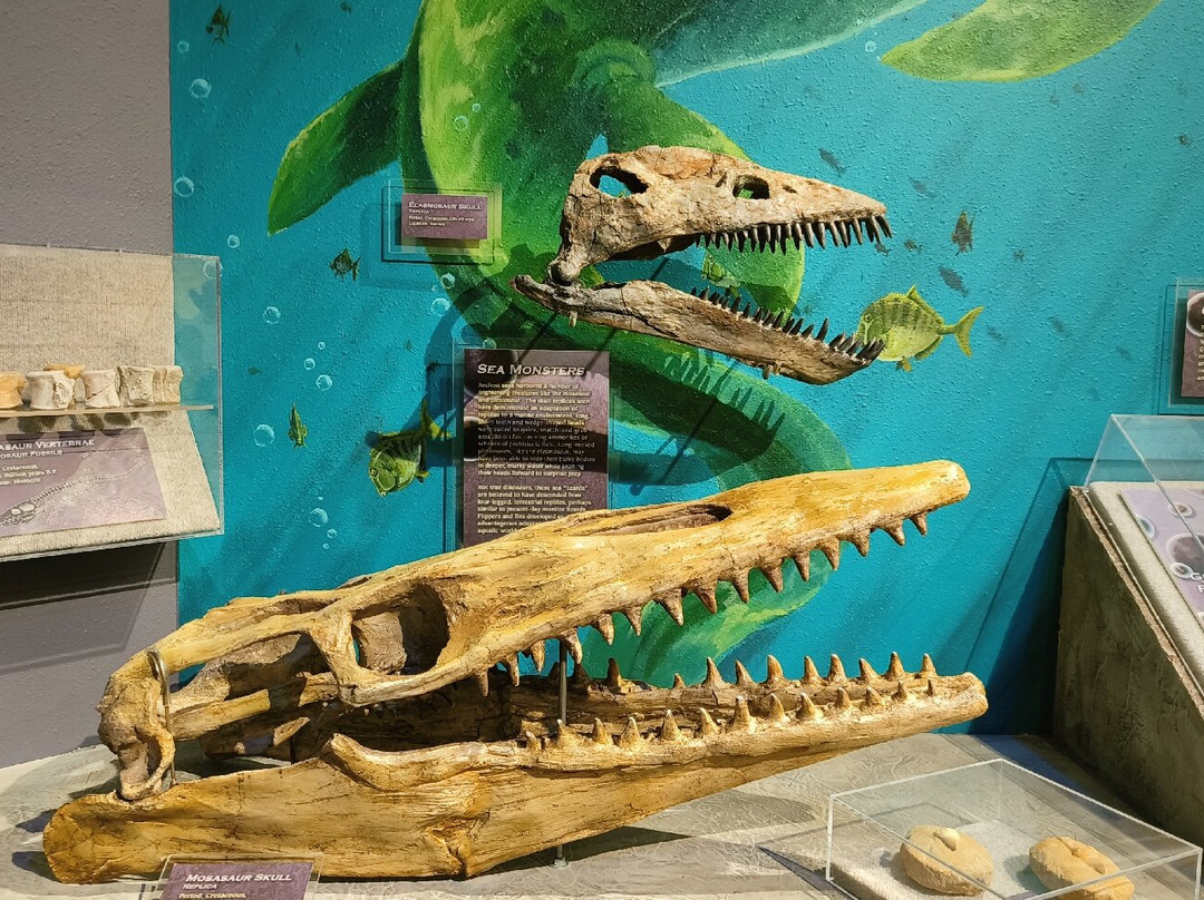 Herrett Center for Arts and Science-特温福尔斯必去景点