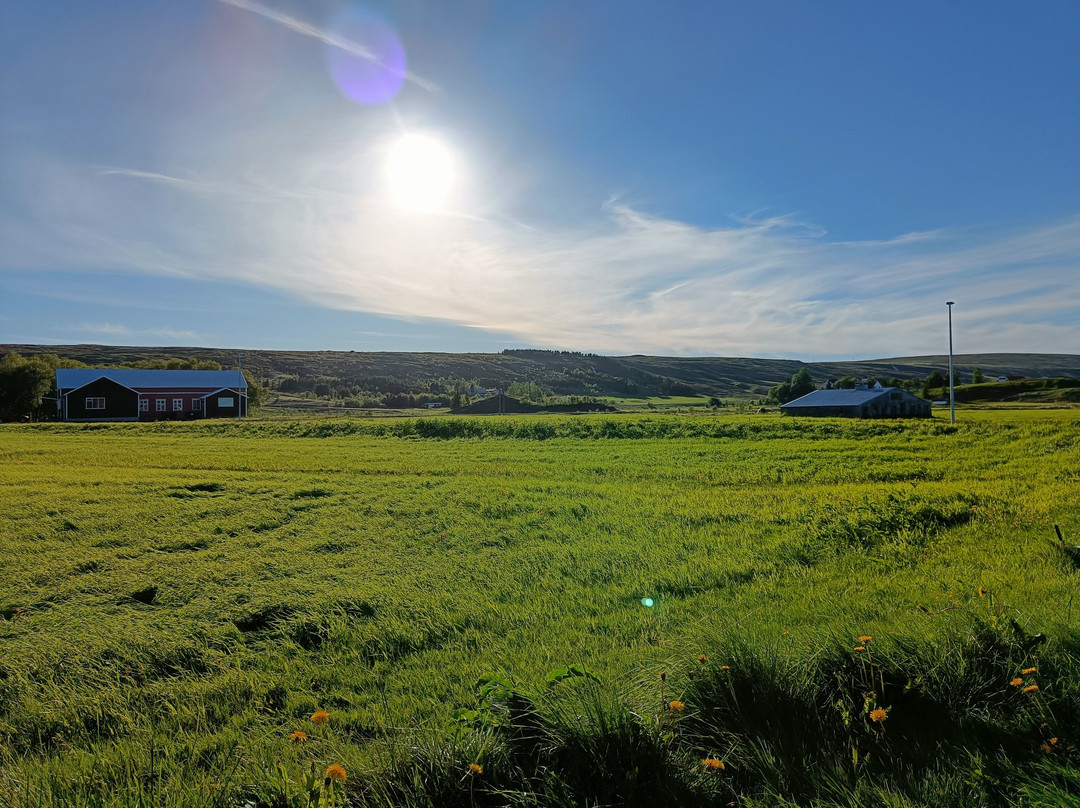 Breidamyri Farm Apartments