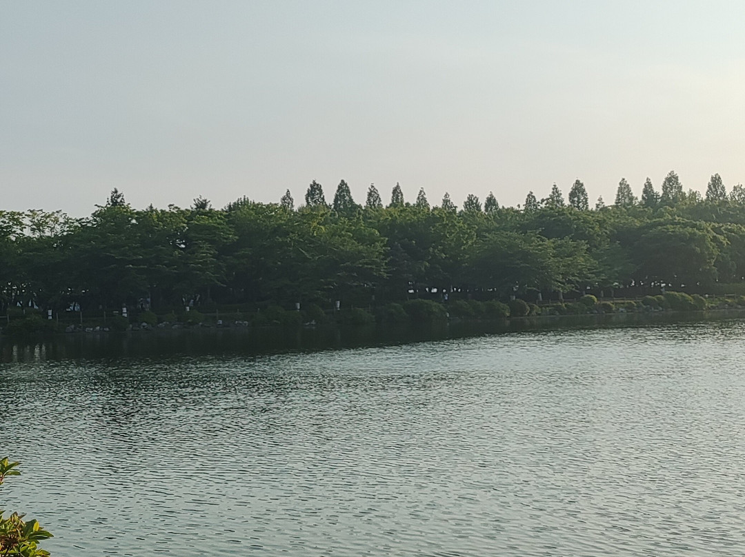 Ilsan Lake Park-高阳市必去景点