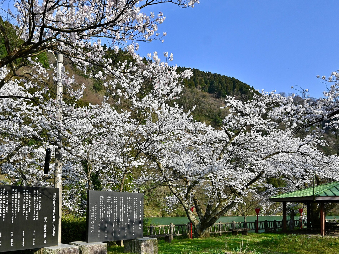 Shogawa Aqua Memorial Park景点图片