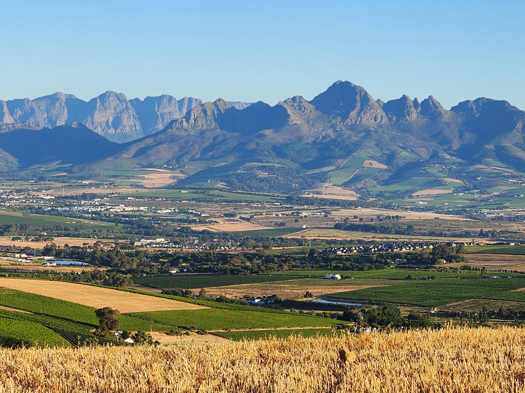 Mooiplaas Wine Estate-斯泰伦博斯必去景点