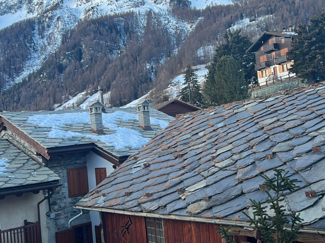 Hotel Alpe Fleurie主图