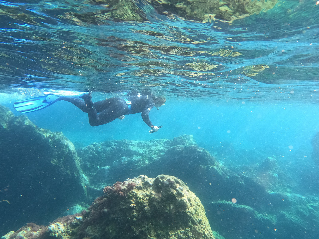 Lanzarote Dive Centre-卡门港必去景点