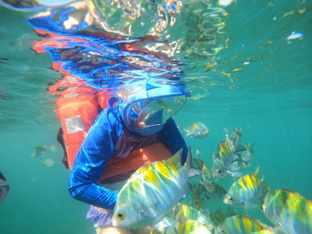 Snorkel Adventure CR景点图片