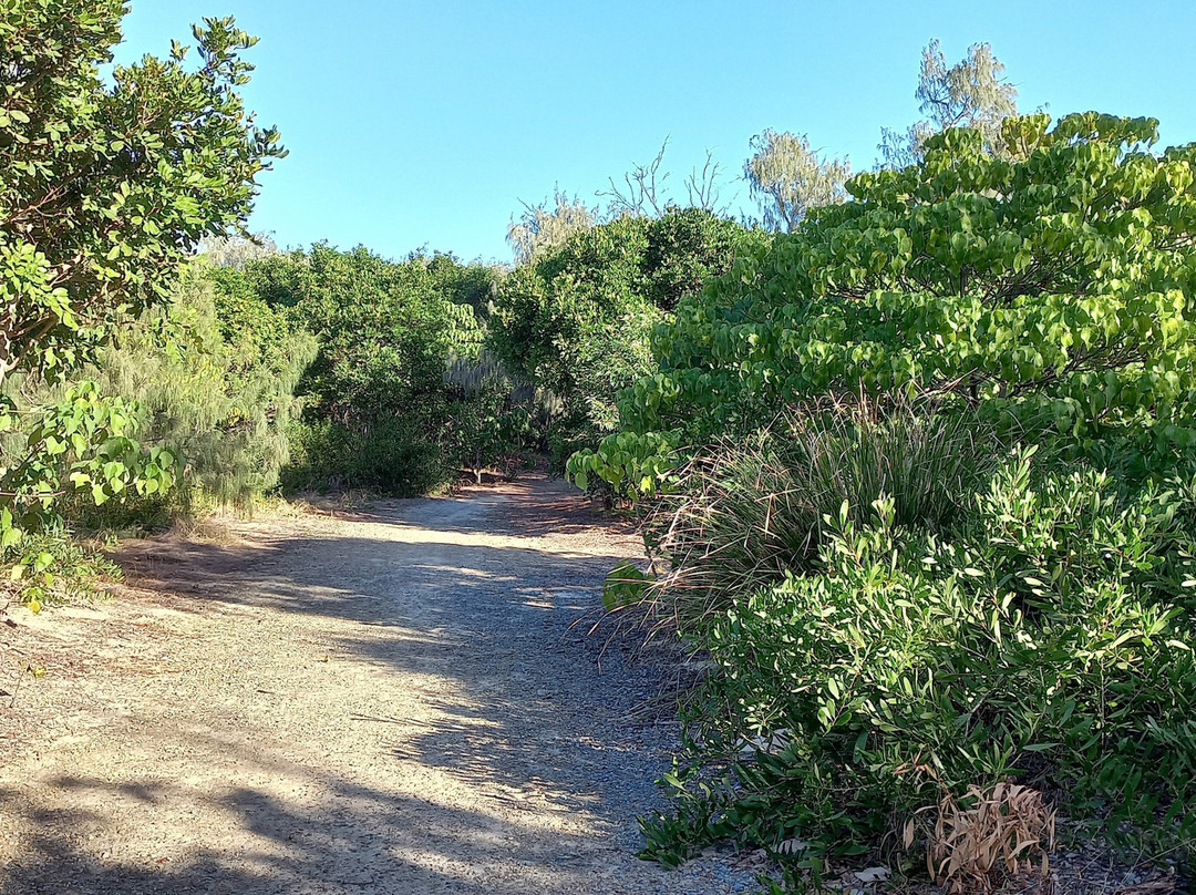 Federation Walk Coastal Reserve景点图片