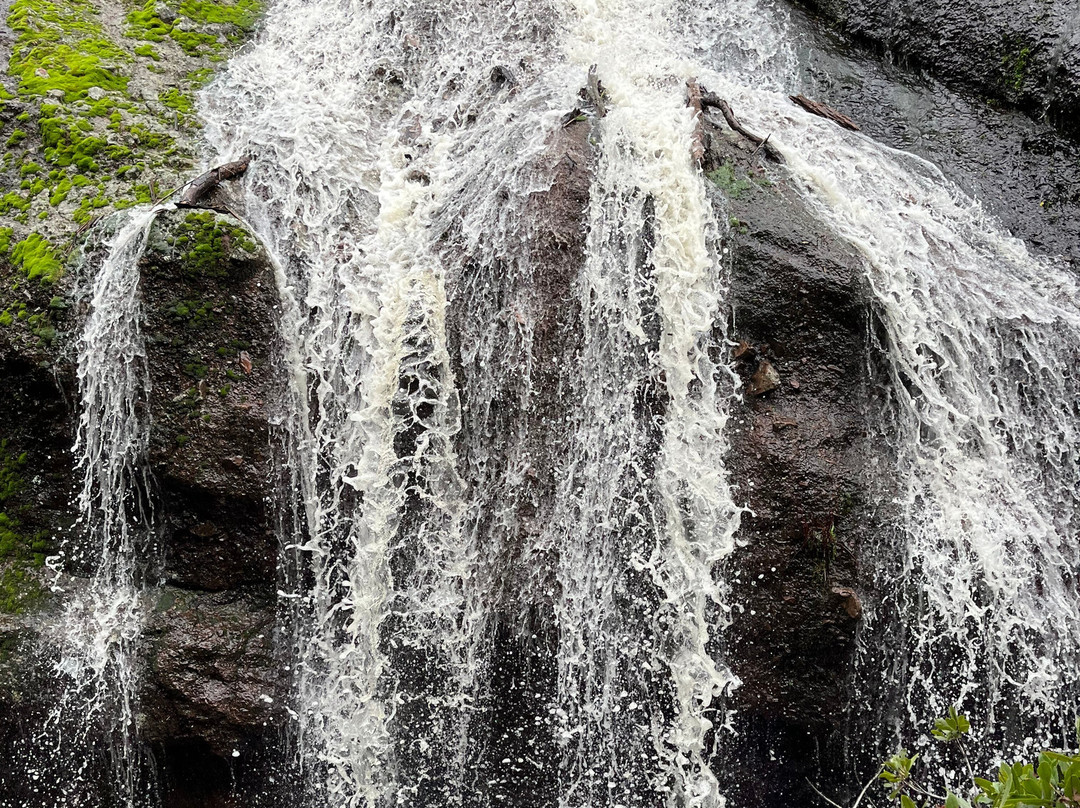 Pinnacles National Park East Visitor Center-Paicines必去景点