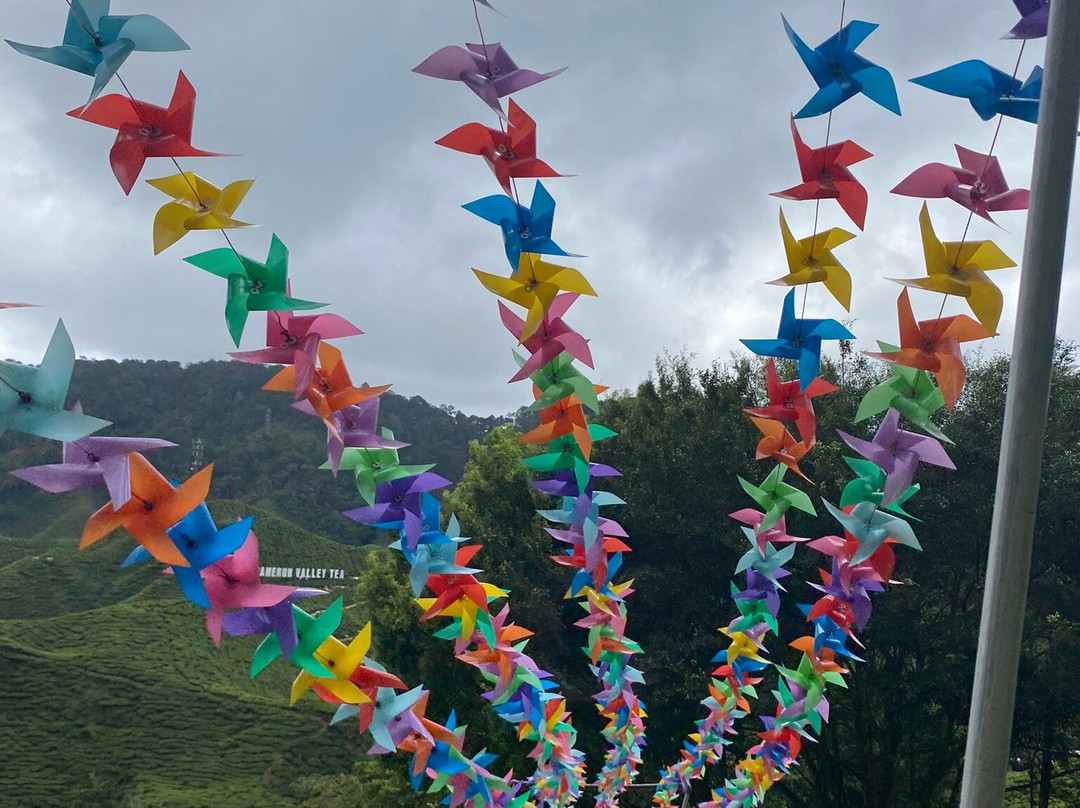 Jaies Chauffeur Service and Tour Assistant-怡保必去景点