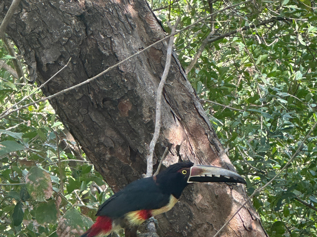 Tierra Magnifica Boutique Hotel主图