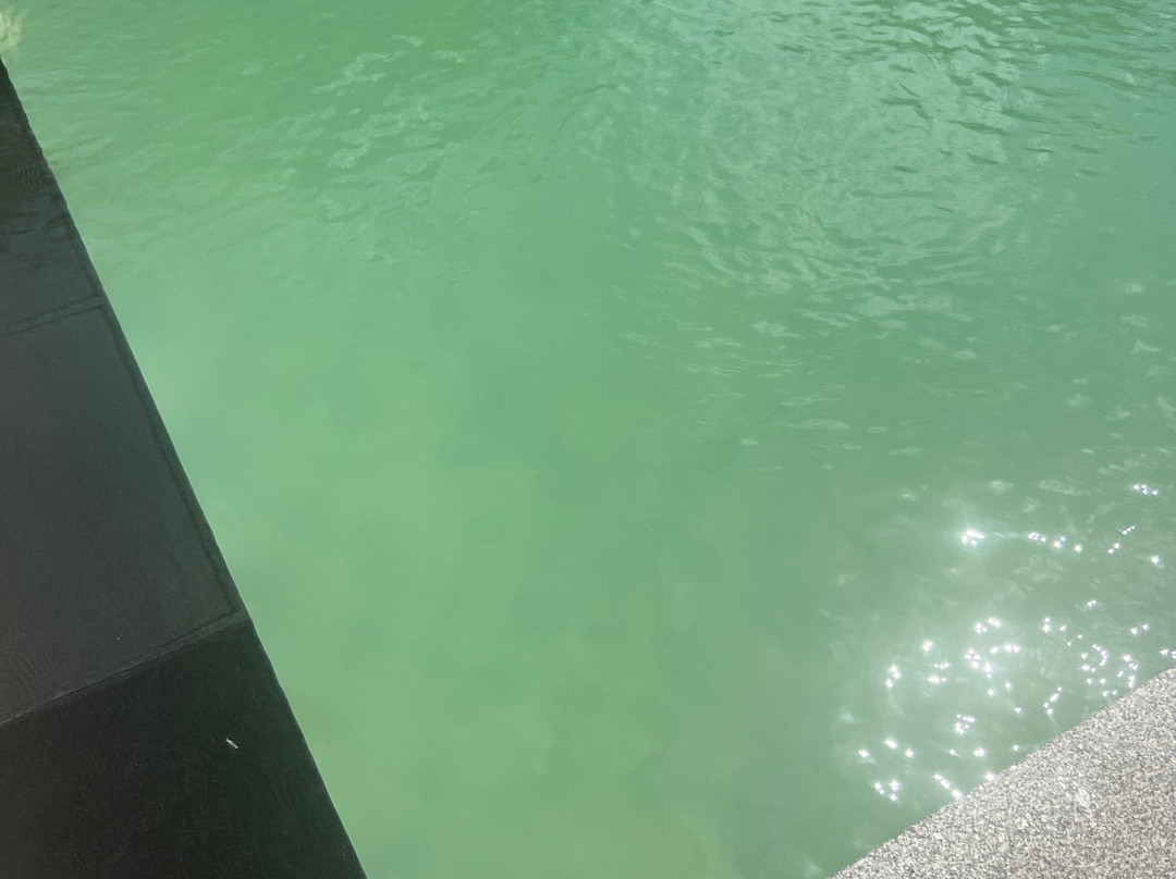 The Rubber Hotel主图