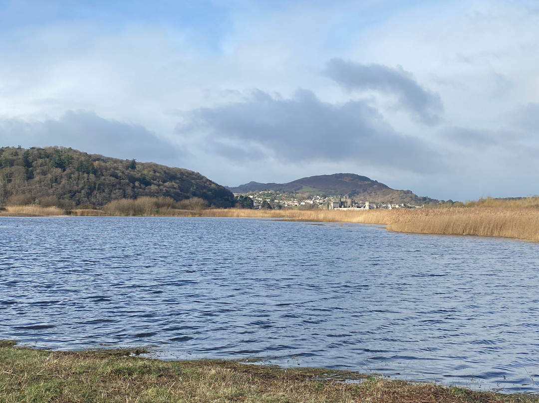 RSPB Conwy Nature Reserve景点图片