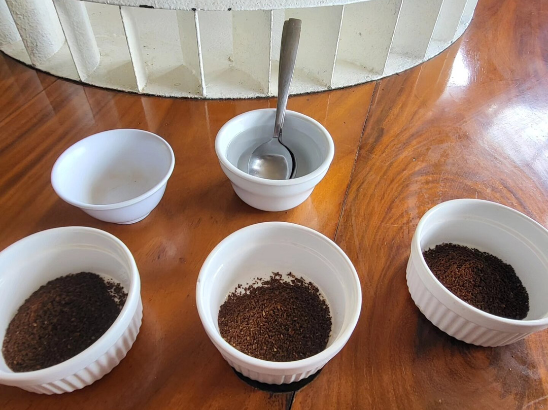 Diriá Coffee Tour景点图片