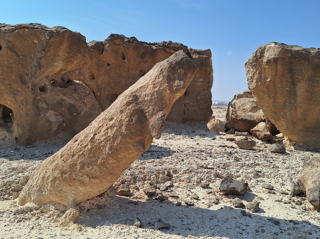 Rock Garden景点图片