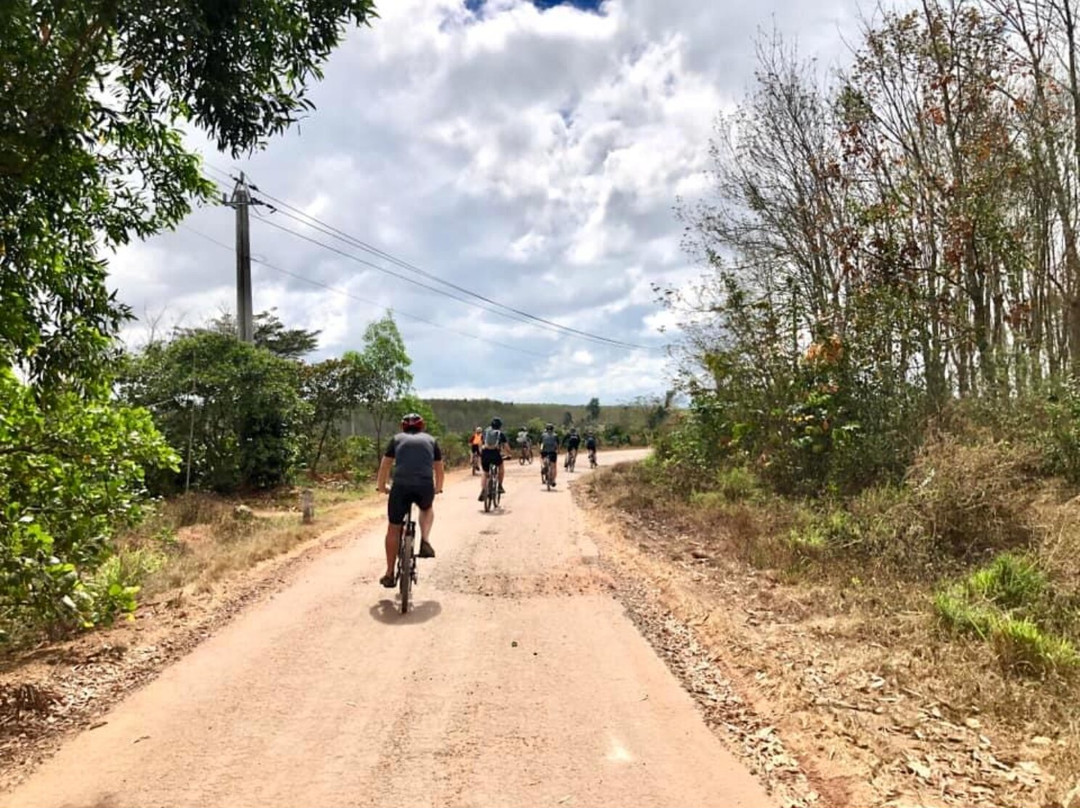 Vietnam Bike Adventures - Day Tours景点图片