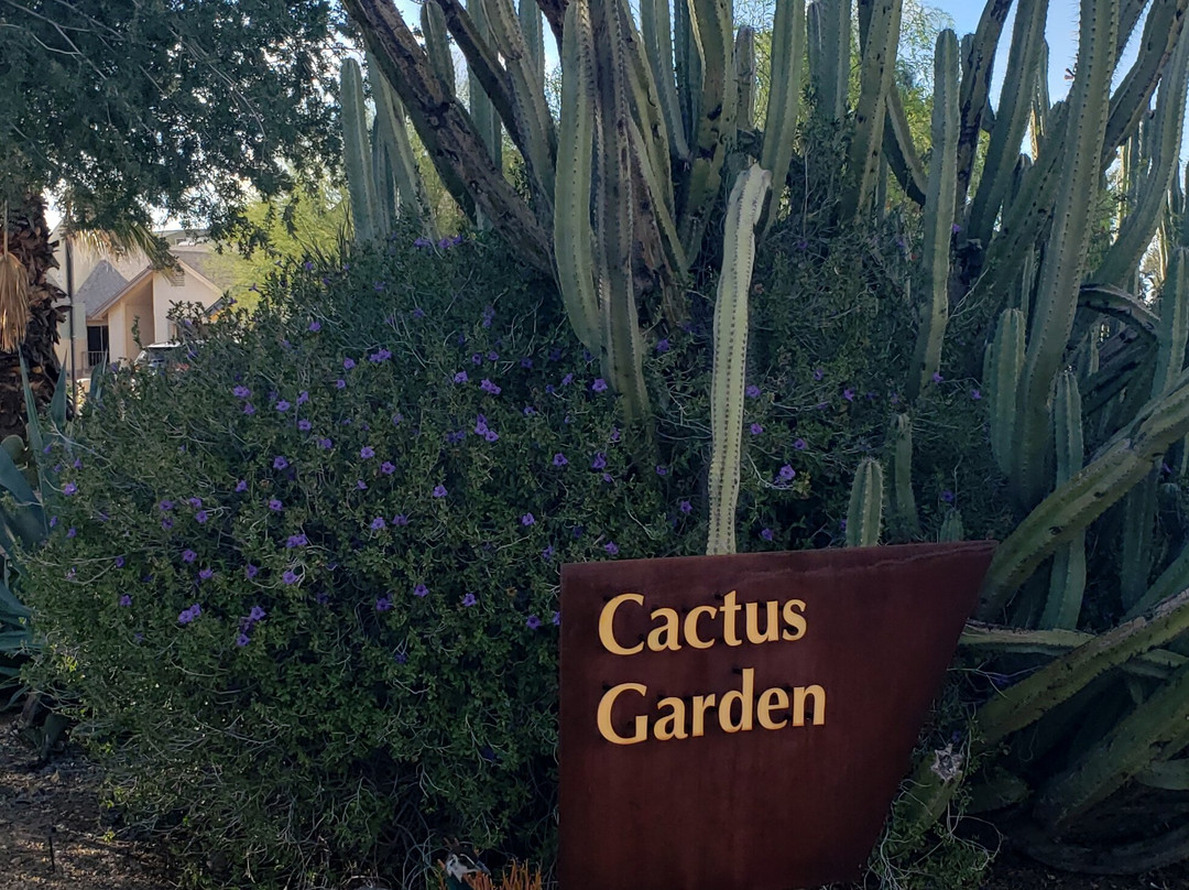 Xeriscape Botanical Gardens-格兰岱尔必去景点