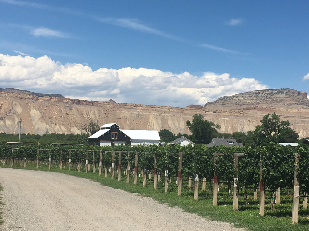 Vistas And Vineyards B&b主图