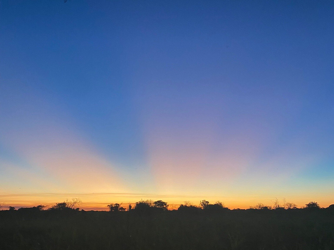 Dolphins Travel Bolivia Ecolodge-Rurrenabaque必去景点