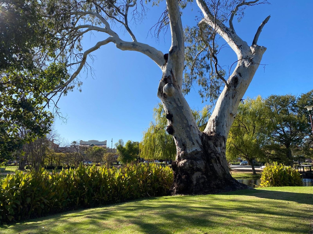 Waring Gardens-Deniliquin必去景点