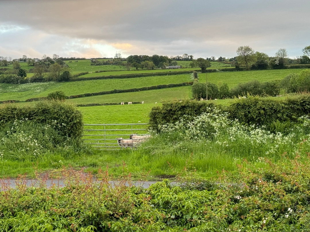 Monkhouse Hill Cottages