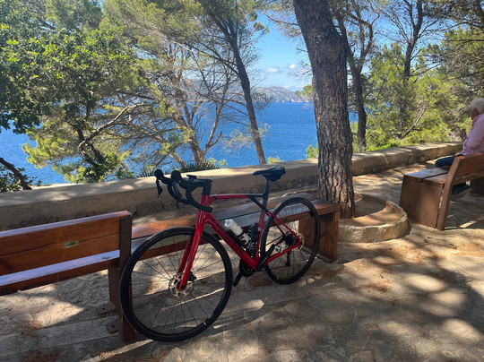 Paco’s Rent A Bike-阿尔库迪亚港必去景点