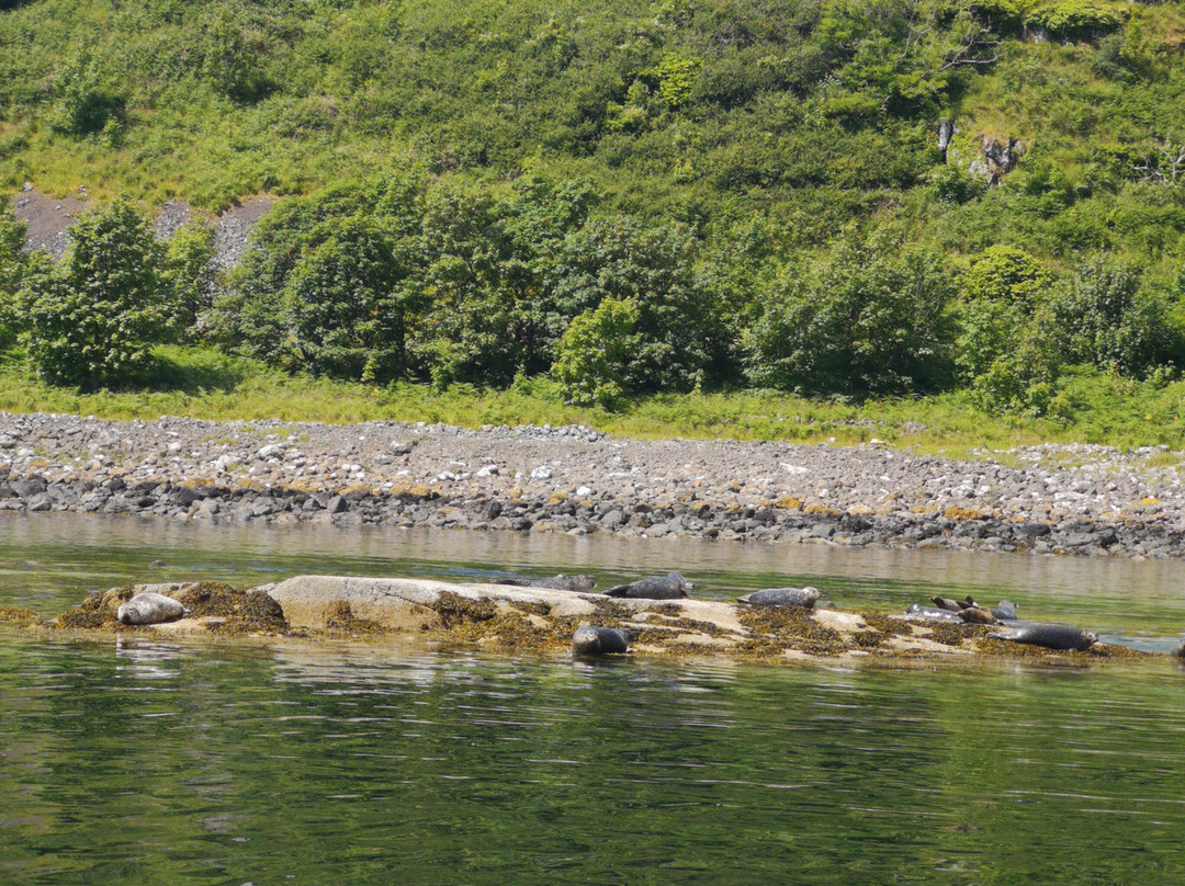 Sea Clyde景点图片