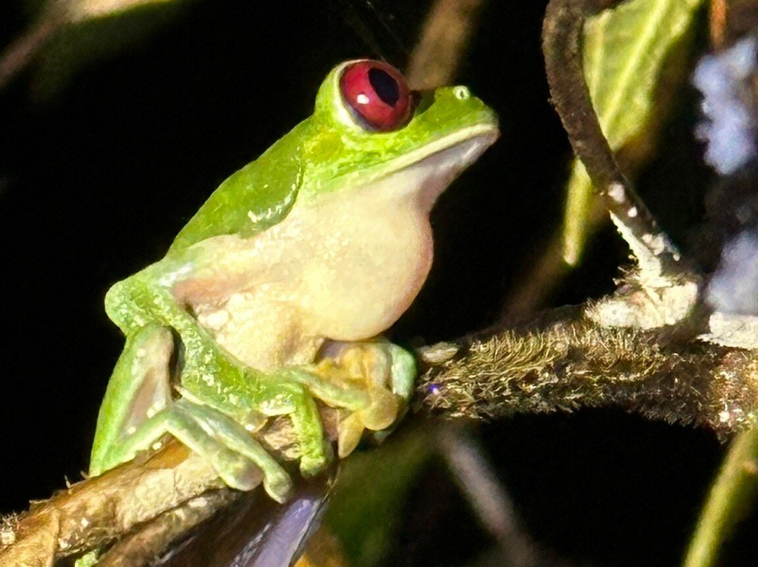 GreenPoint Drake Bay主图