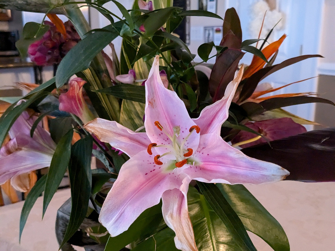 Bay Tree Manor主图