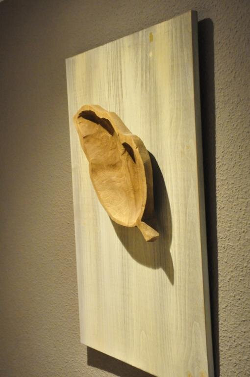 Hotel Luze El Toro Hotel主图