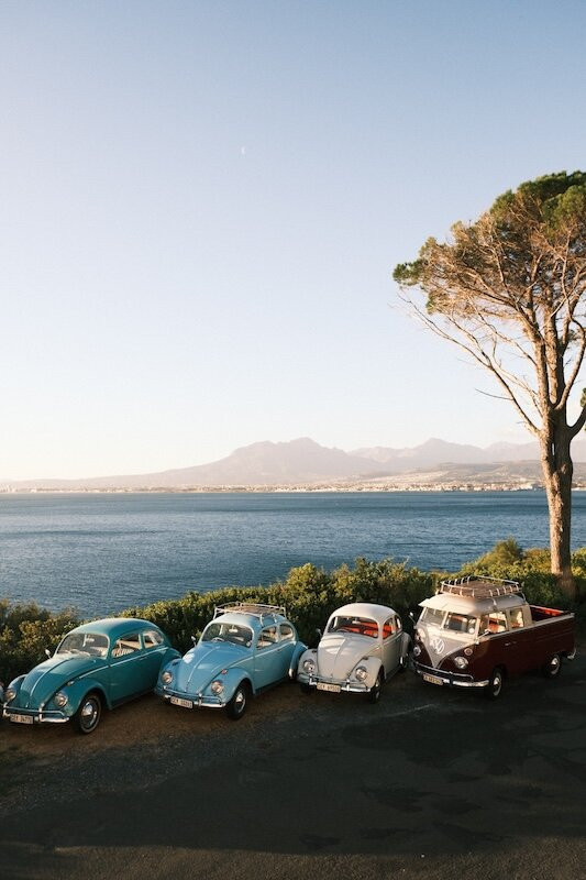 Berg Road Bugs-Grassy Park必去景点