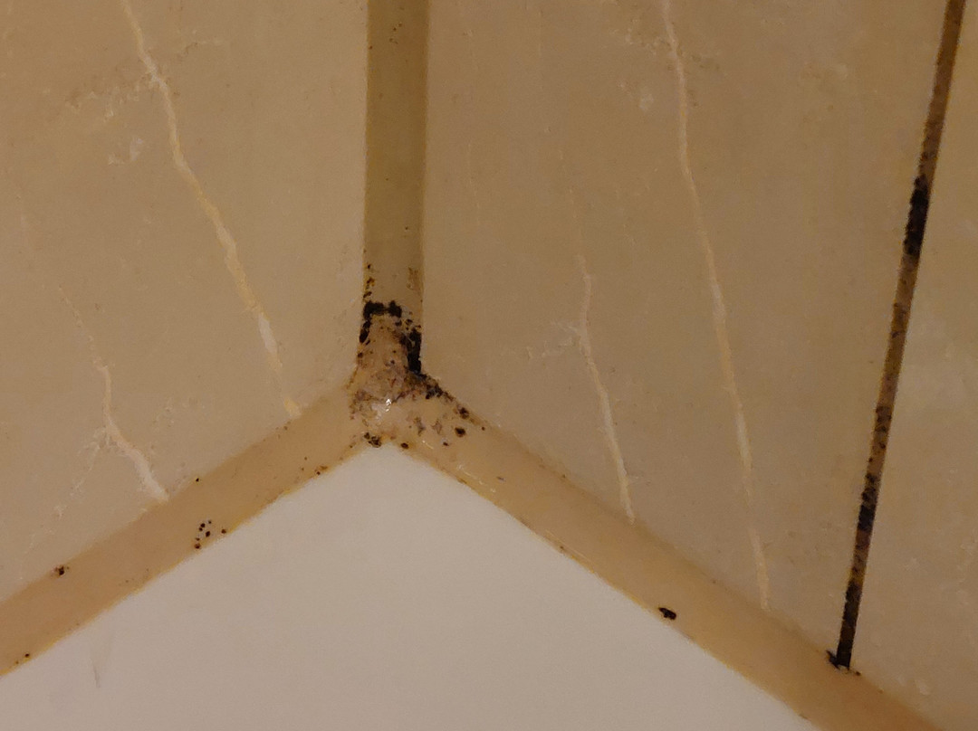 Morada Resort Kühlungsborn主图