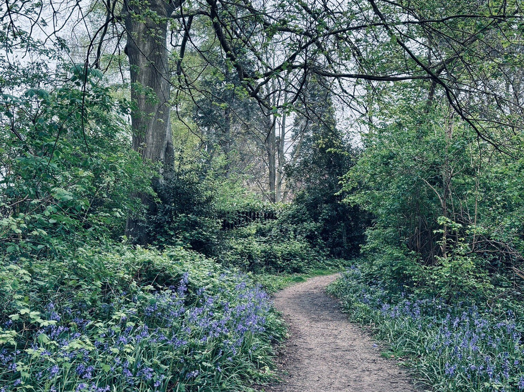 Vinters Valley Nature Reserve-梅德斯通必去景点