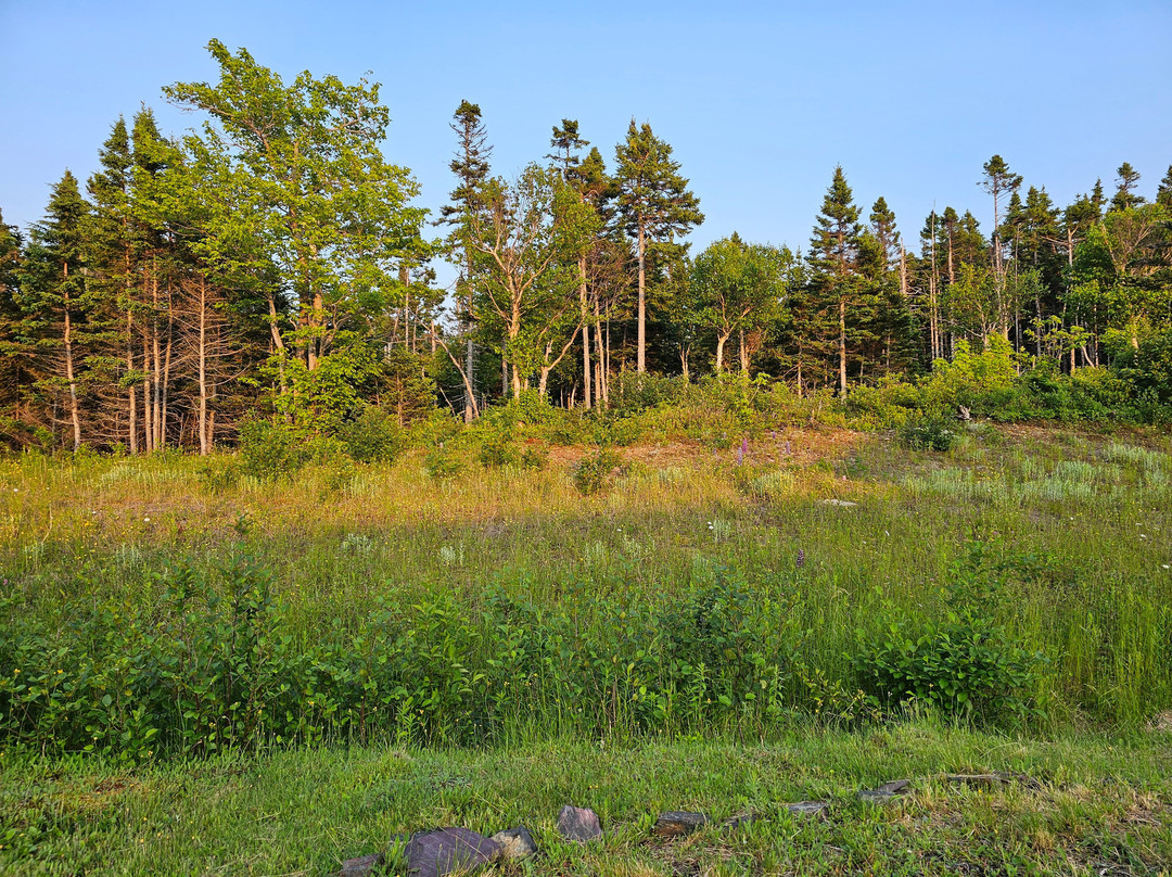 Round Da Bay Inn主图