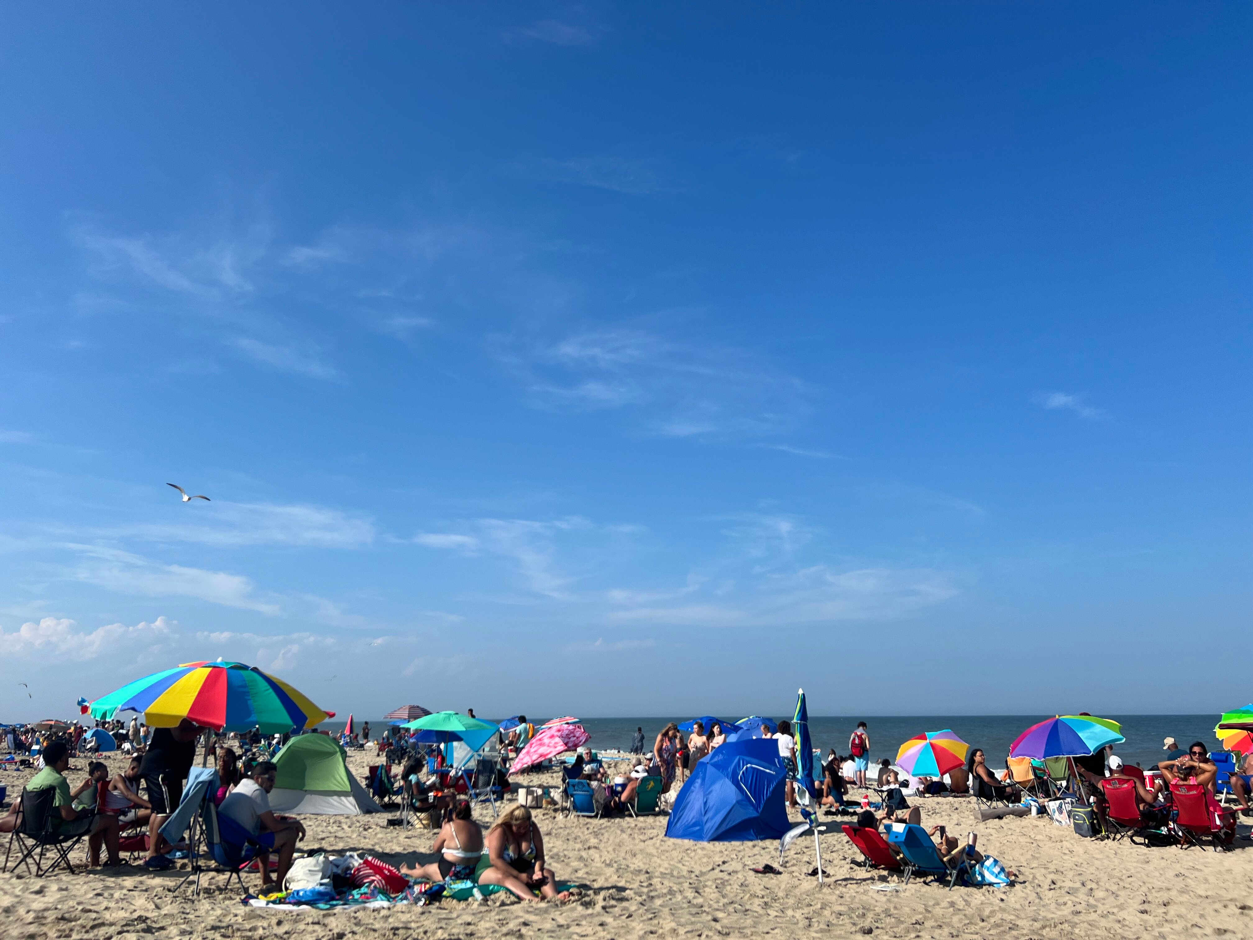 Holiday Inn Express & Suites Rehoboth Beach, an IHG hotel-泳池