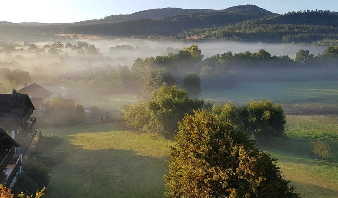 Hotel  Der Wolfshof主图