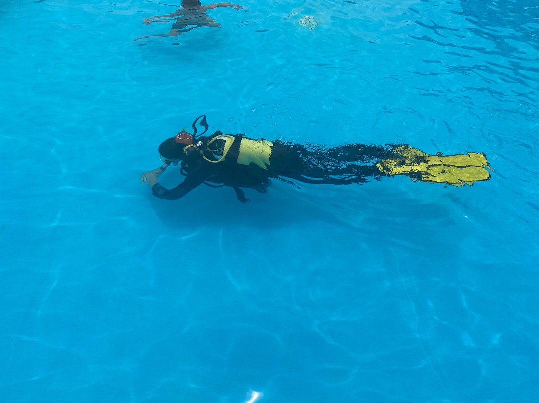 Cipreia Dive Club Porto Santo-Porto Santo Island必去景点