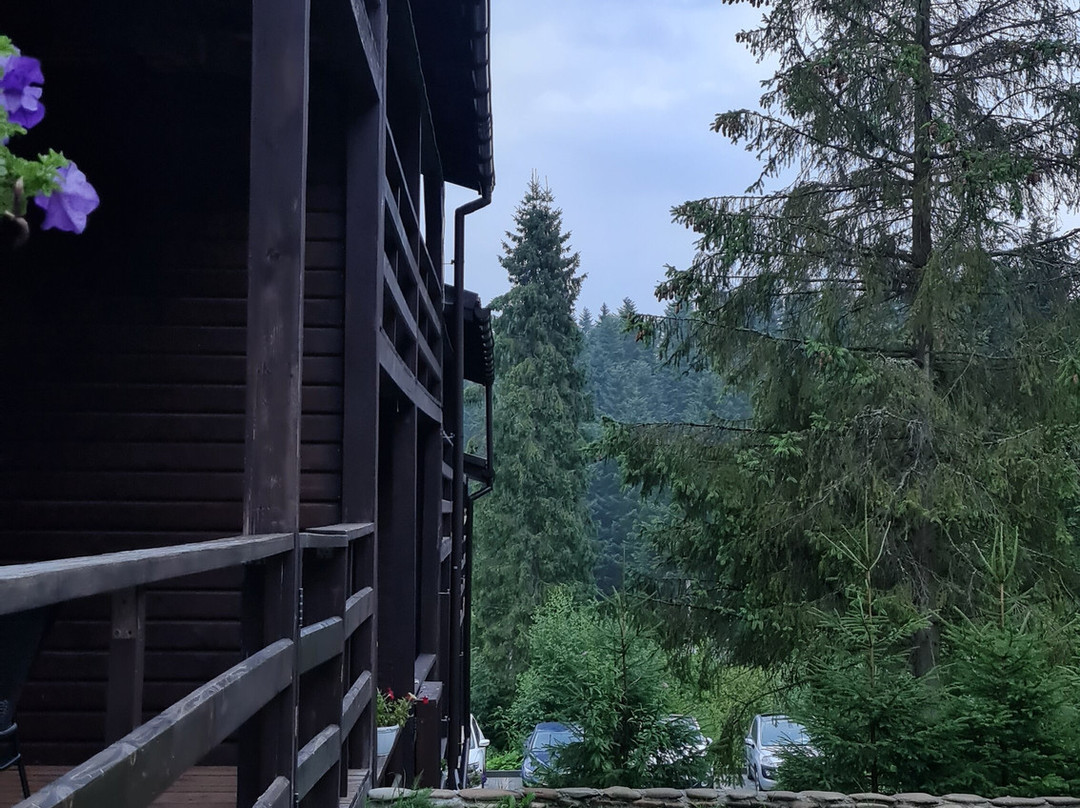 Park Hotel Schastya