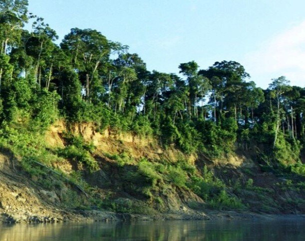 Parque Nacional Del Manu景点图片