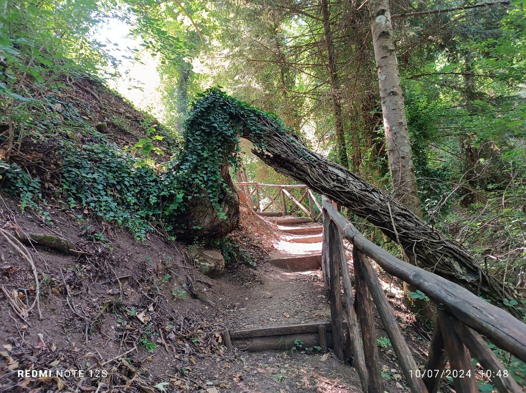 Hidden Garden with Waterfalls景点图片