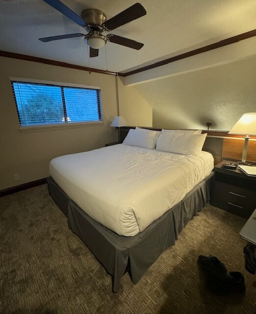 Annabell Gardens主图