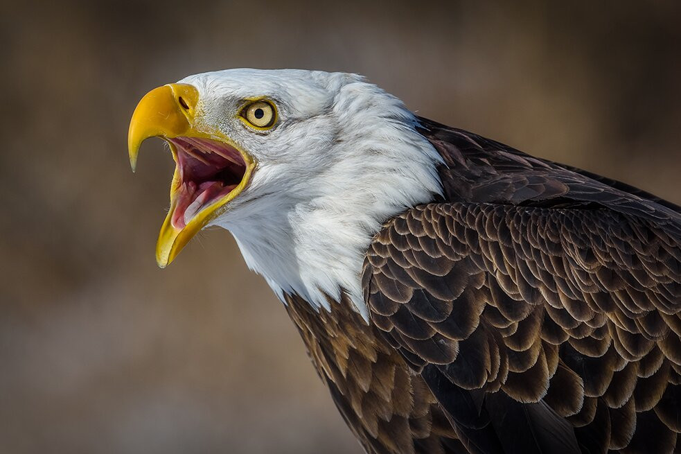 Howell Nature Center-Howell必去景点