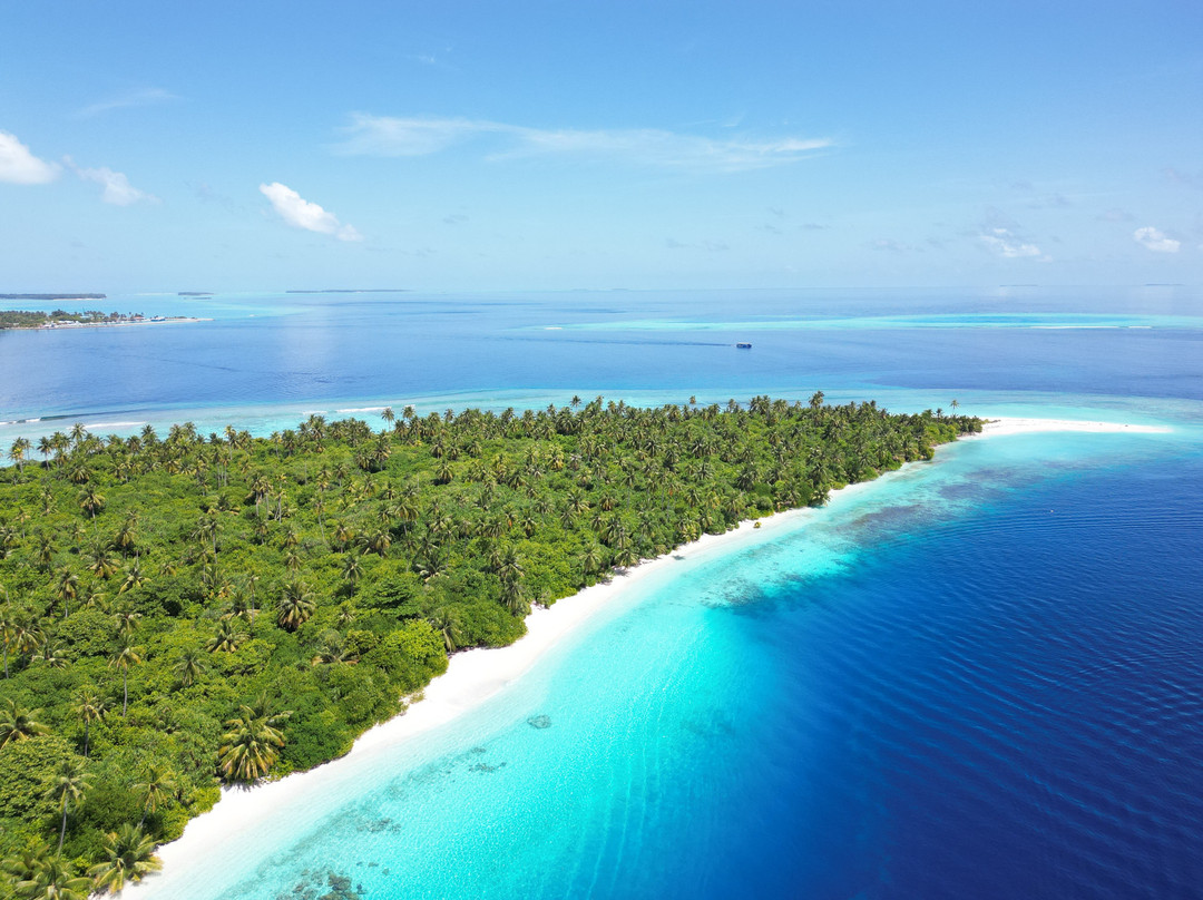 Azalea Cruise-马累必去景点