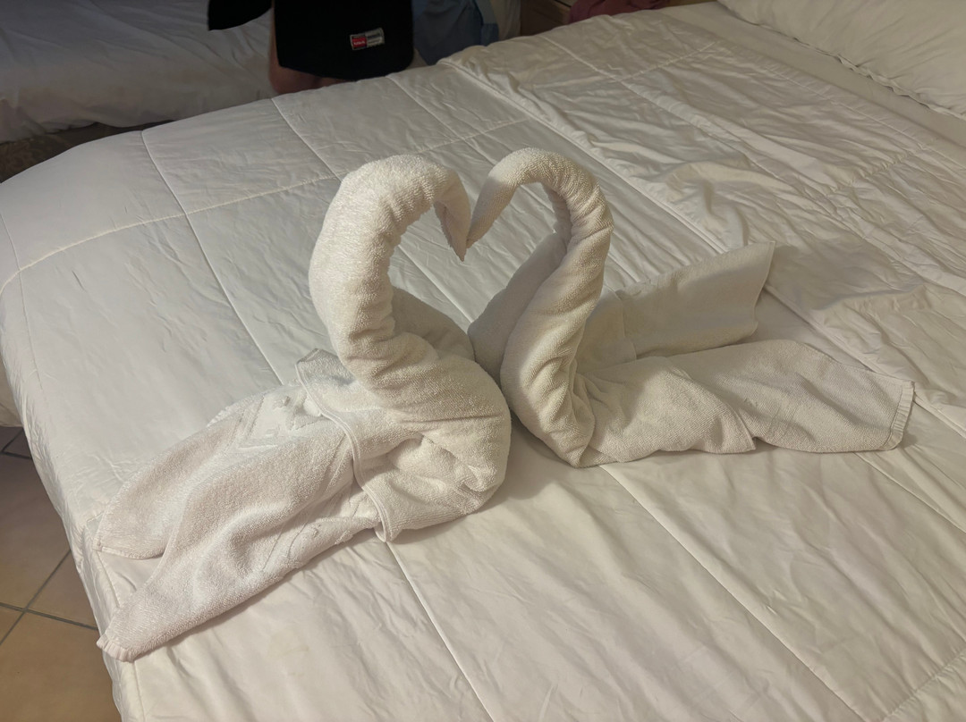 Marhaba Royal Salem主图