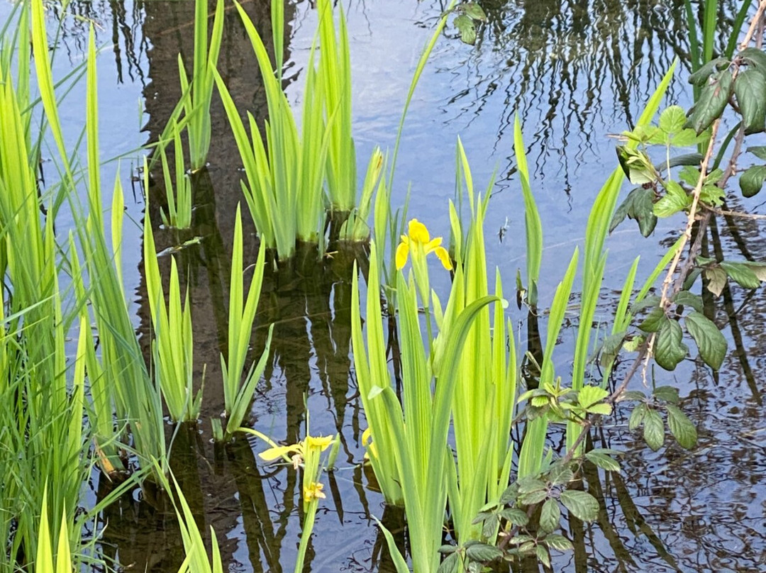 Parco Naturale Regionale del Fiume Sile-特雷维索必去景点