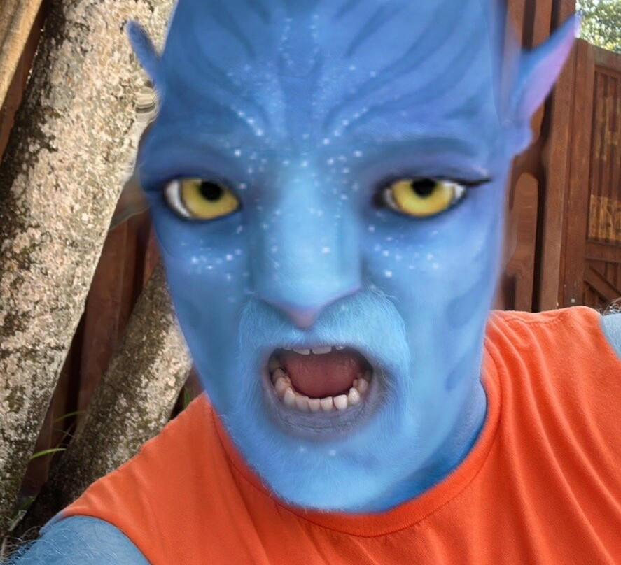 Pandora – The World of Avatar-奥兰多必去景点