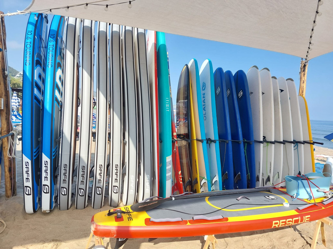 Piranha Sup Surf School-切法卢必去景点