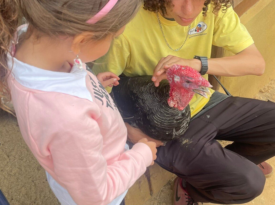 Mini Fazenda Pet Zoo-Cotia必去景点