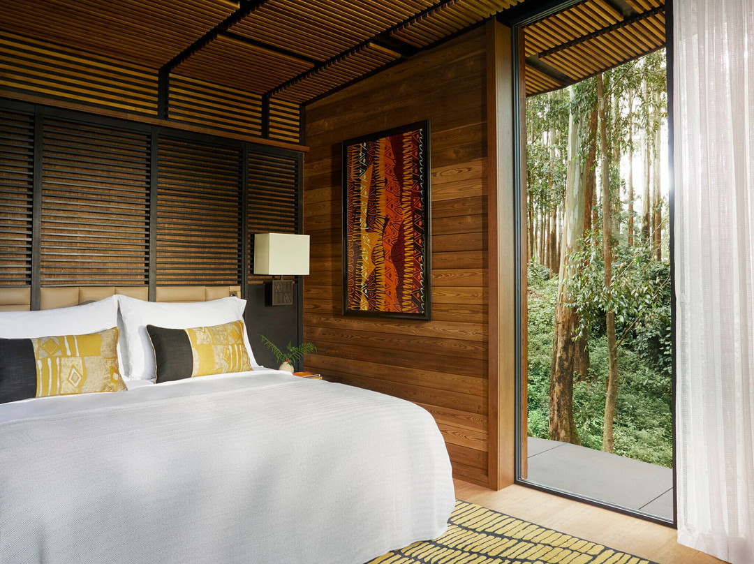 One&Only Gorilla's Nest主图