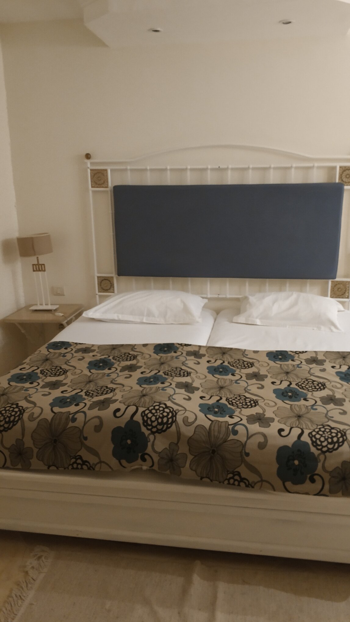 迦太基海水浴酒店-客卧