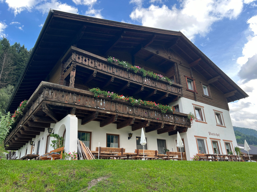 Berggasthof Platterhof主图