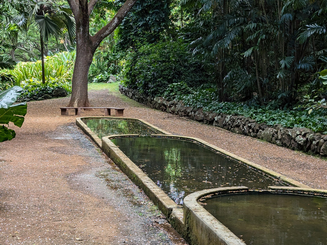 国家热带植物园-坡伊普必去景点