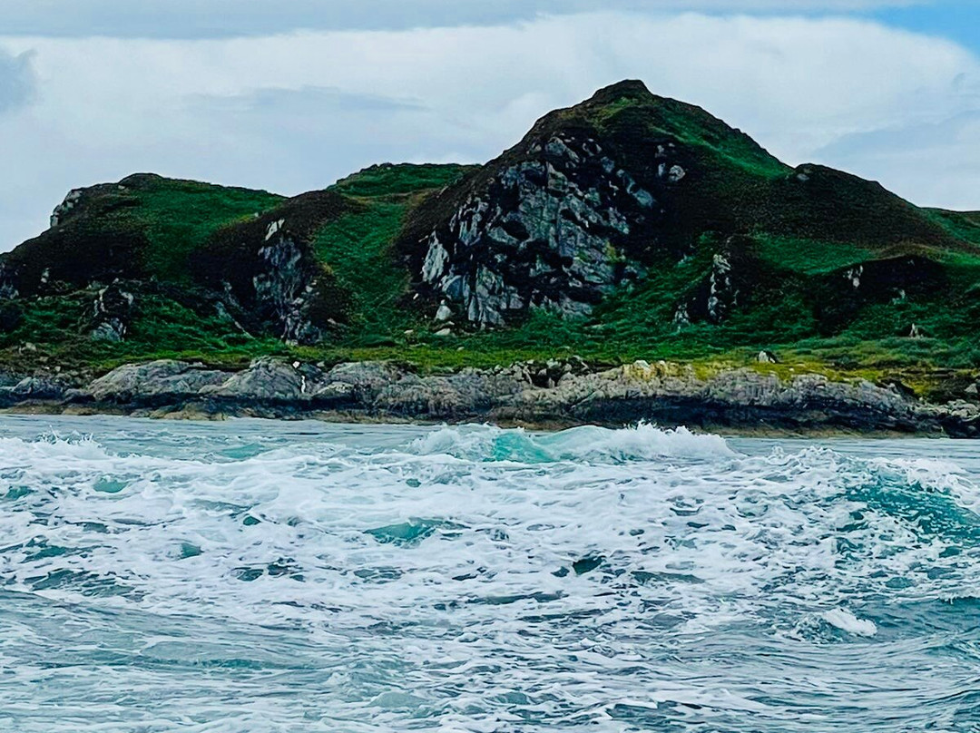 Farsain Cruises-Craobh Haven必去景点